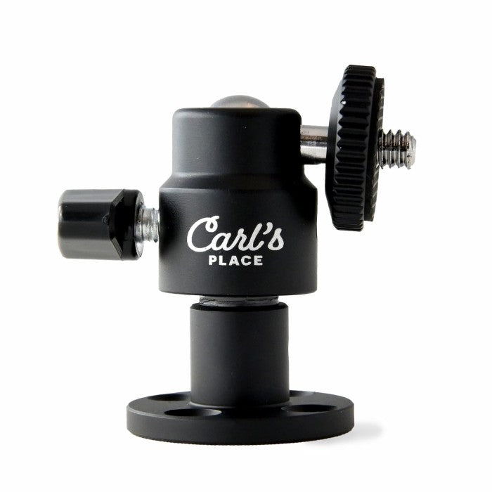 Carls Place Swing Camera Wall Mount